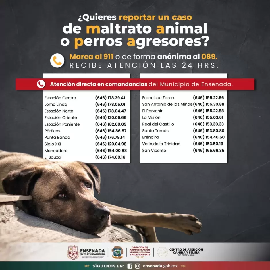 Denuncia por maltrato animal y perros agresores