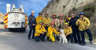 Bomberos de Tijuana rescataron a m�s de 250 animales este 2023