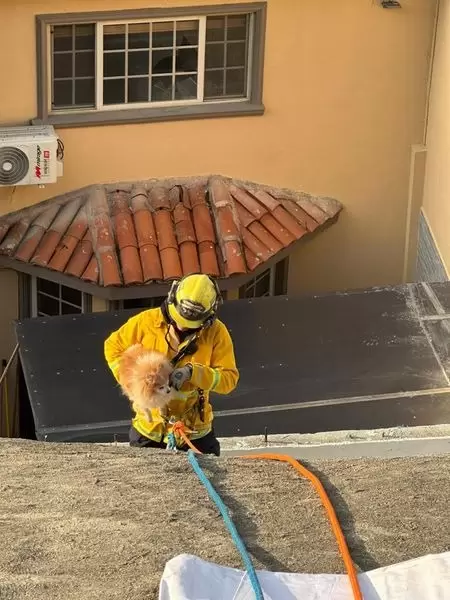 Bomberos de Tijuana