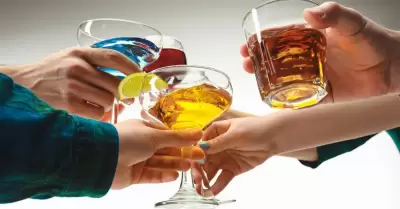 Bebidas alcoh�licas