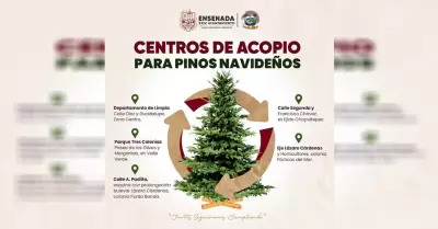 Activar� Servicios P�blicos centros de acopio para �rboles navide�os