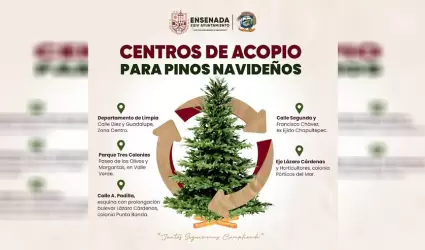Activar� Servicios P�blicos centros de acopio para �rboles navide�os