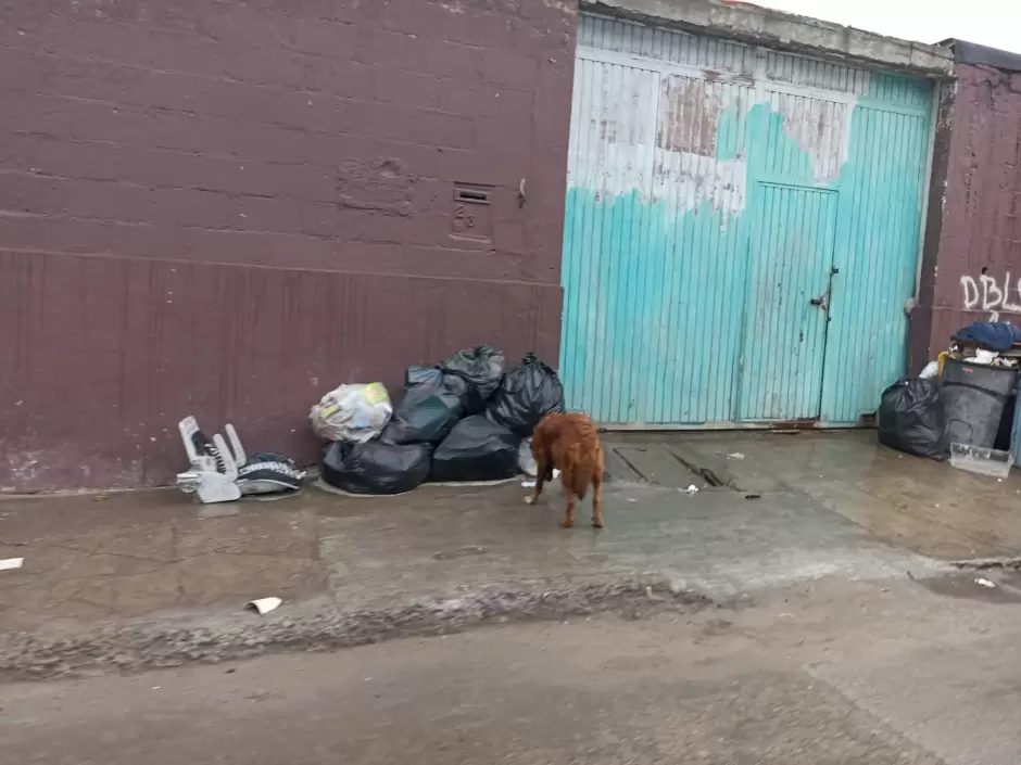 Vecinos de la colonia Durango denuncian la acumulacin de basura por falta de recoleccin