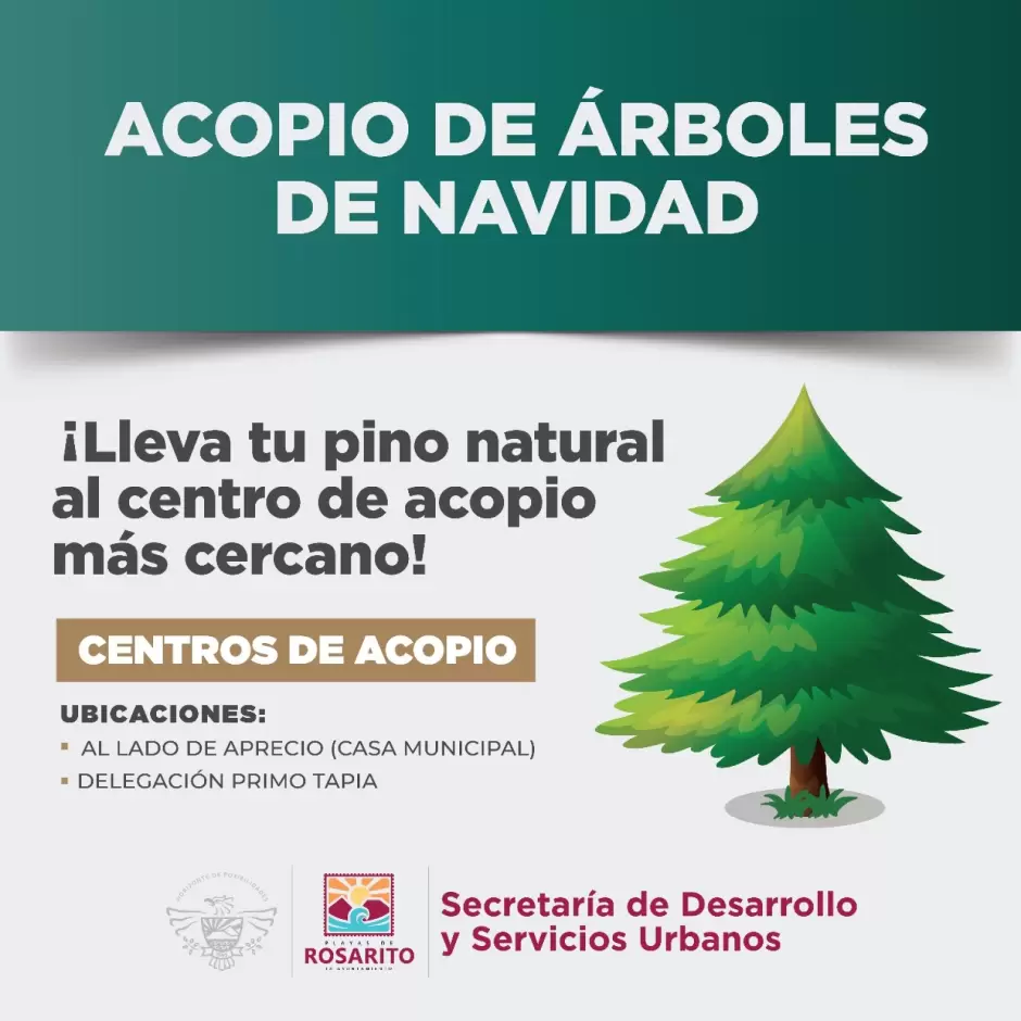 Acopio de rboles de navidad