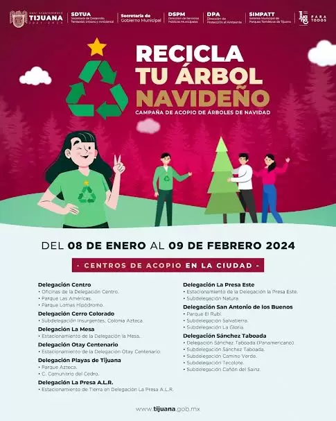 Ayuntamiento de Tijuana habilita 19 centros de acopio para recibir árboles navideños