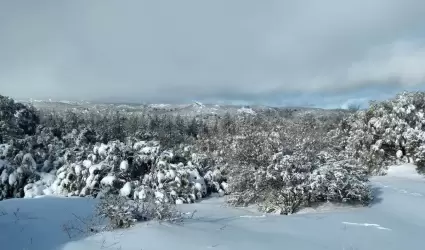 Nevadas en sierras y temperaturas minimas de 2 grados