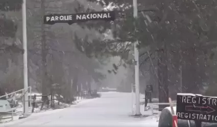 Parque Nacional Sierra de San Pedro M�rtir