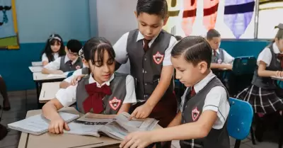 Educacin bsica