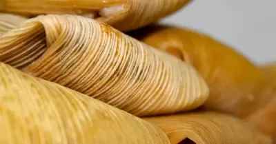 En hoja de ma�z