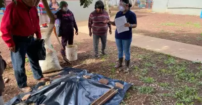 Buen manejo de aves ponedoras