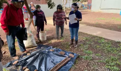 Buen manejo de aves ponedoras