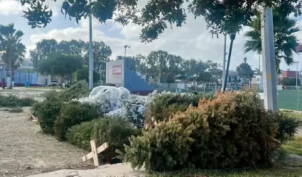 Arbolito de navidad