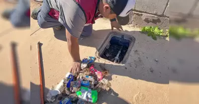 Realiza CESPE brigada de inspeccin para deteccin de tomas irregulares