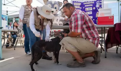 Invitan a participar en campa�a de reforzamiento de vacunaci�n antirr�bica canin