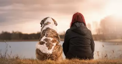 La convivencia entre perros y humanos lleva reglas implcitas