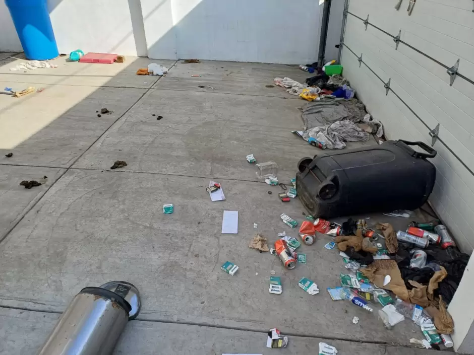 Realiza FGE cateo y rescata a dos canes en estado de abandono