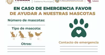 Etiquetas vitales para mascotas