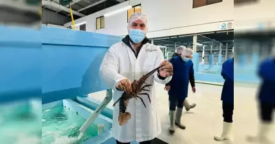 Establece COEPRIS BC veda sanitaria para una empresa de moluscos bivalvos