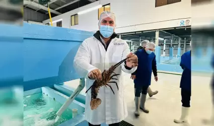 Establece COEPRIS BC veda sanitaria para una empresa de moluscos bivalvos