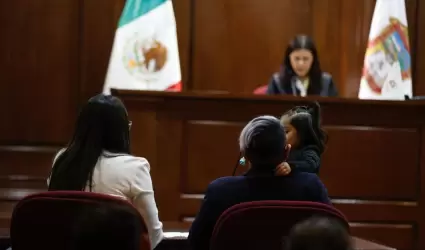 Pareja homoparental