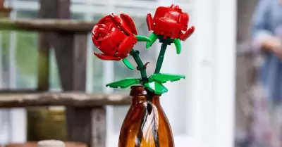 Bouquet de rosas de Lego