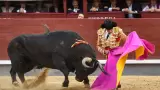 Corridas de Toros