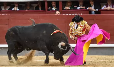 Corridas de Toros