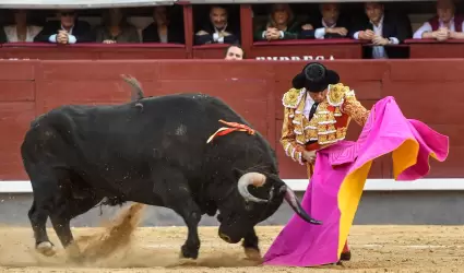 Corridas de Toros