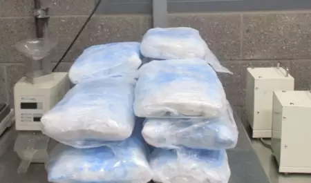Interceptan fentanilo, metanfetamina, coca�na y hero�na