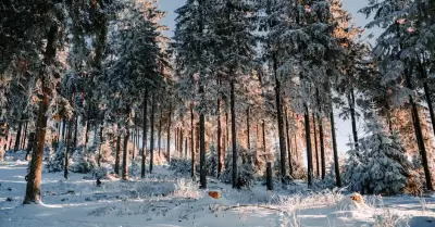 Quinta tormenta invernal traer lluvias, vientos fuertes, fro y nevadas.