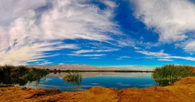 "Las Arenitas", un refugio de biodiversidad y sostenibilidad: