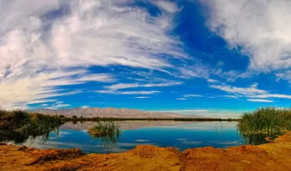 "Las Arenitas", un refugio de biodiversidad y sostenibilidad: