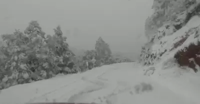 nevadas