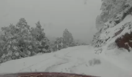 nevadas