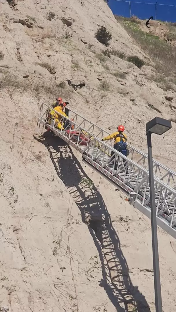 Rescatan Bomberos de Tijuana a dos perritos de un cerro