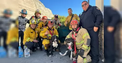 Rescatan Bomberos de Tijuana a dos perritos de un cerro