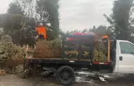 Invita Secretar�a de Medio Ambiente a sumarse a las campa�as de reciclaje de �rboles navide�os en Baja California