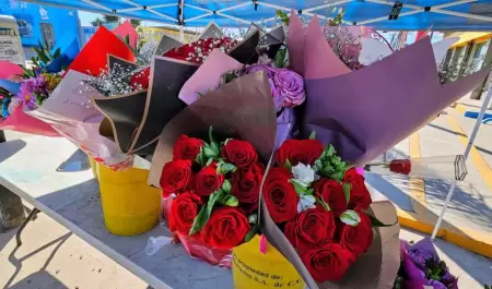 flores venta de art�culos con motivo del D�a del Amor y la Amistad San Valent�n