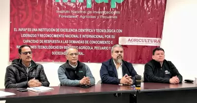 Consideran al cultivo del maz una buena opcin para el Valle de Mexicali