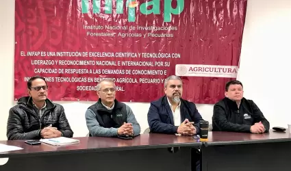 Consideran al cultivo del maz una buena opcin para el Valle de Mexicali