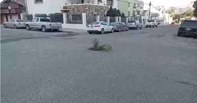 Vecinos de la colonia Gabilondo utilizan creatividad para resaltar bache en inte