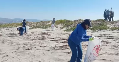 Instalan sealtica sobre la crianza de focas