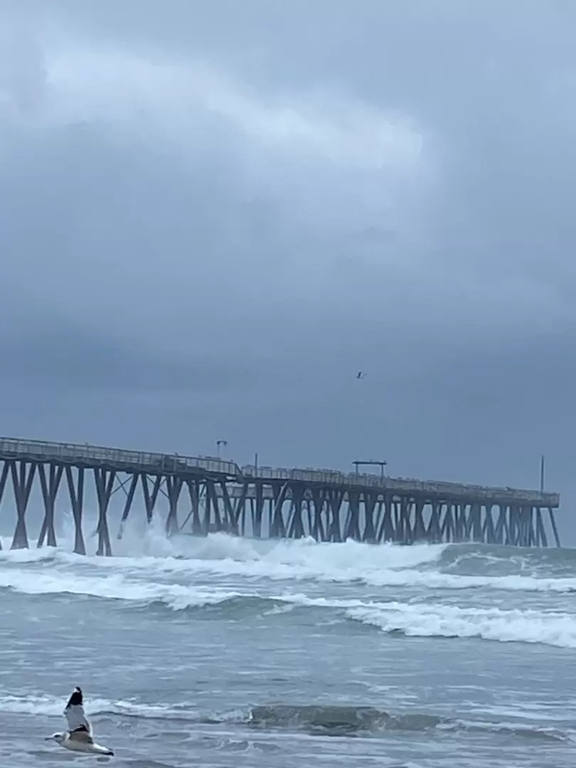 Muelle de Playas de Rosarito