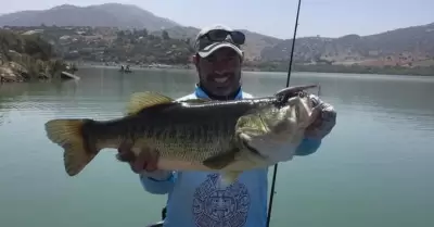 Pesca de lobina