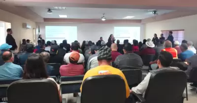 Programa estatal de apoyos al sector