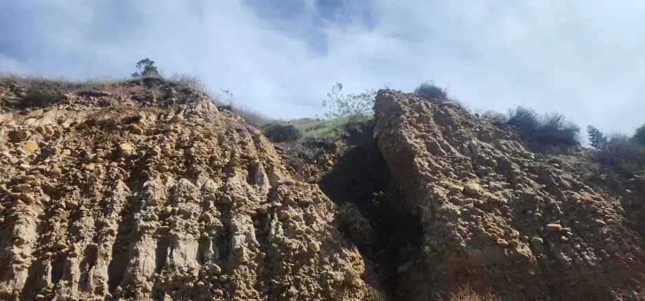 Construccin de 25 casas en reas verdes da 12 casas en Hacienda Linda Vista