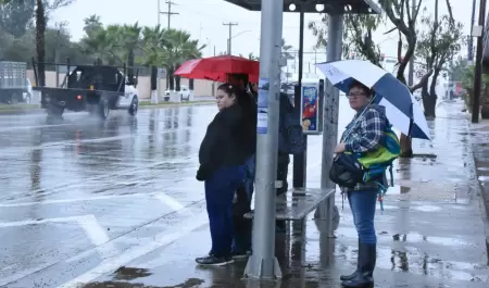 Clima fro, viento, lluvias y nevadas