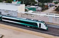 Han viajado en el Tren Maya casi 65 mil pasajeros en 70 días: Lozano Águila