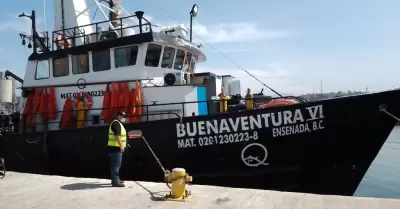 Reapertura COEPRIS BC �reas de cosecha de moluscos bivalvos al sur de la entidad