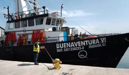 Reapertura COEPRIS BC �reas de cosecha de moluscos bivalvos al sur de la entidad